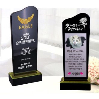 KC359 ������ǽ� ���� ���� ũ����Ż Ʈ���� 1