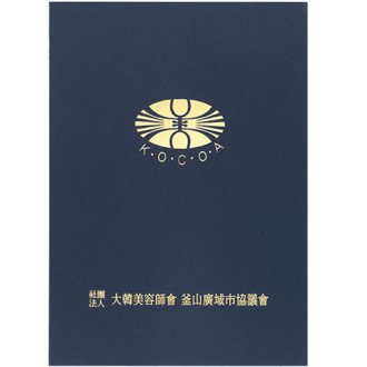 �������̾� ���� ���� ���̽�