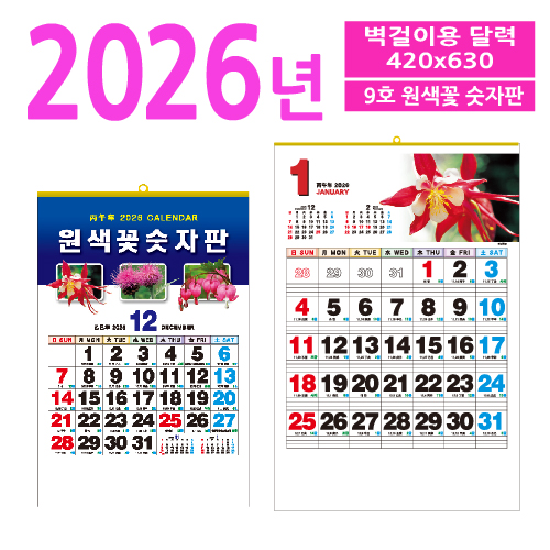 9ȣ ������ ������ ������ �޷�